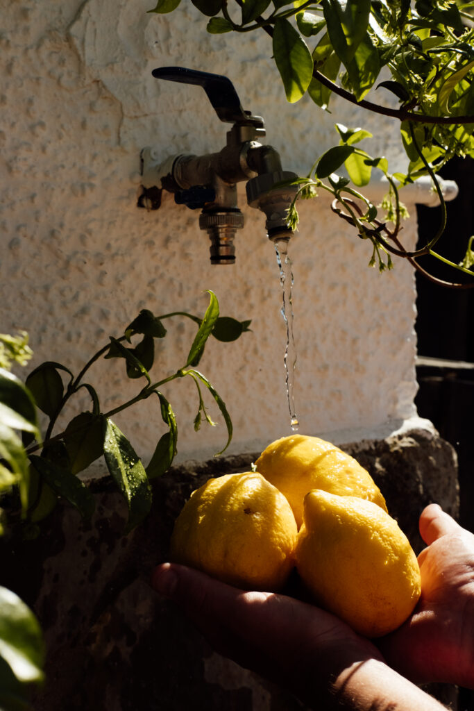 Finca Malata Valencia